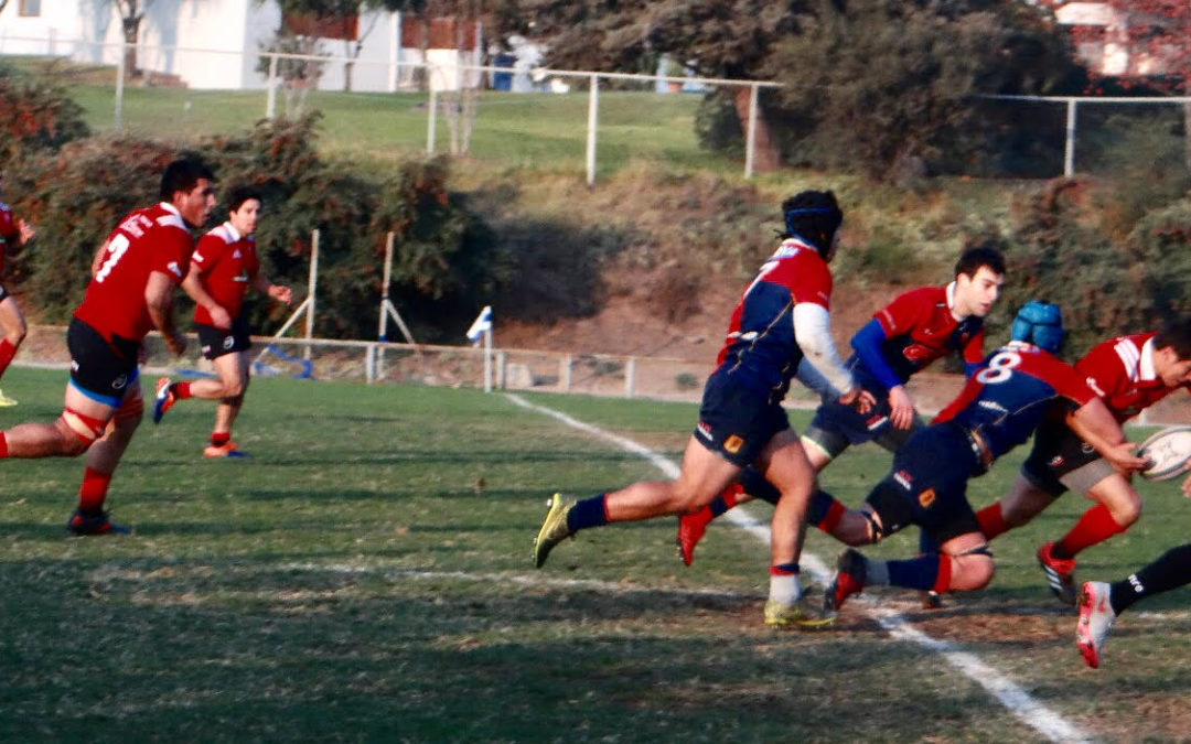 Los Tordos van por la «Copa de Oro» en rugby Arusa