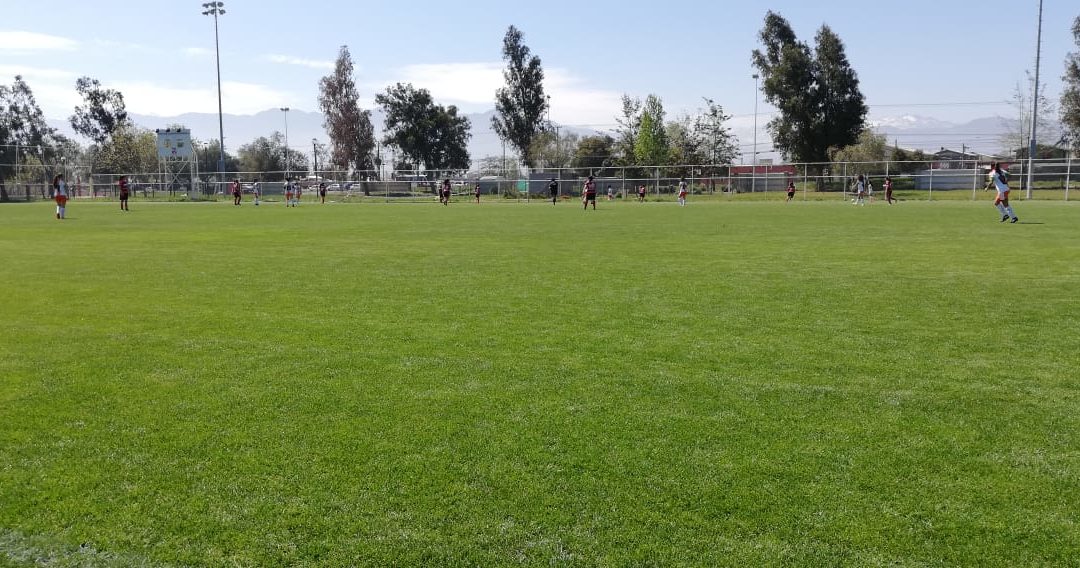 Todo listo para los juegos binacionales en la región de O’Higgins