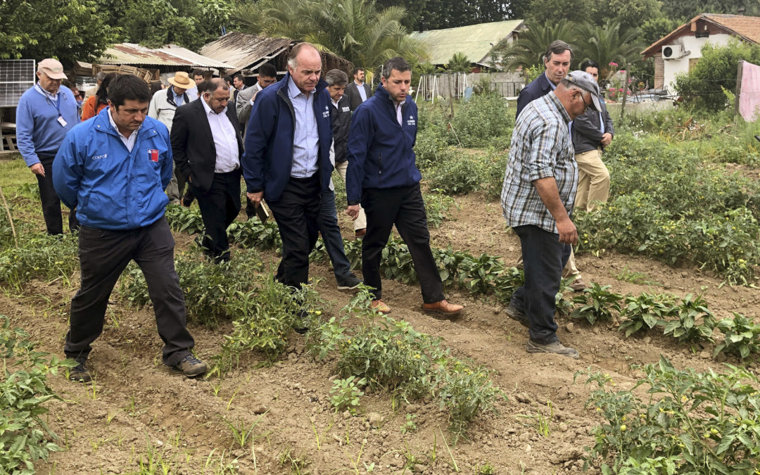 Decretan zona de emergencia agrícola en Machali y 9 comunas de O’Higgins