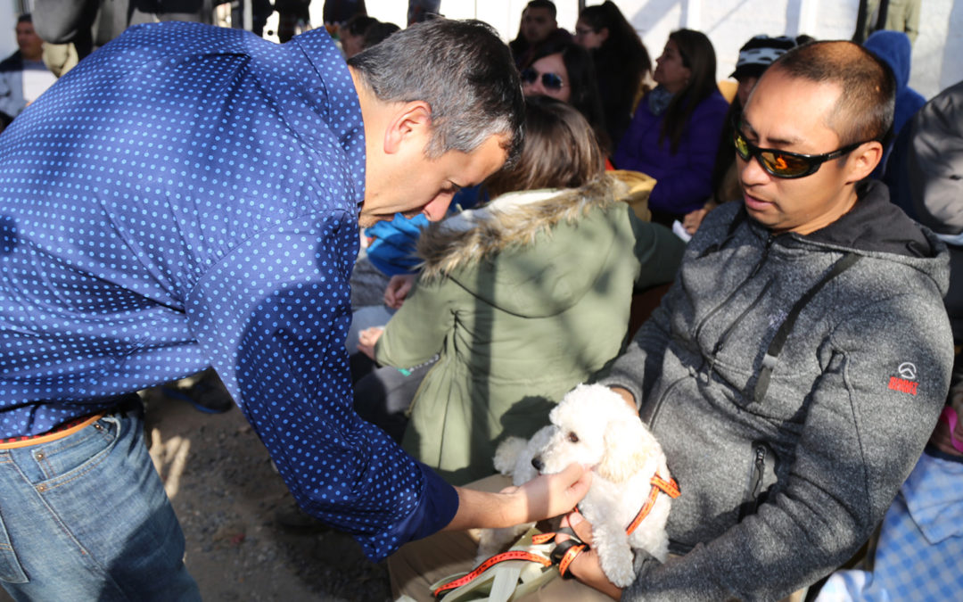 Registro Nacional: Más de 70 mil mascotas fueron inscritas en toda la región