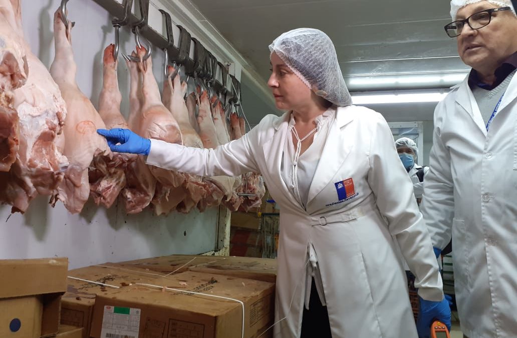 41 sumarios sanitarios y 500 kilos de carne ha decomisado la Seremi de Salud O´Higgins en la previa a las Fiestas Patrias
