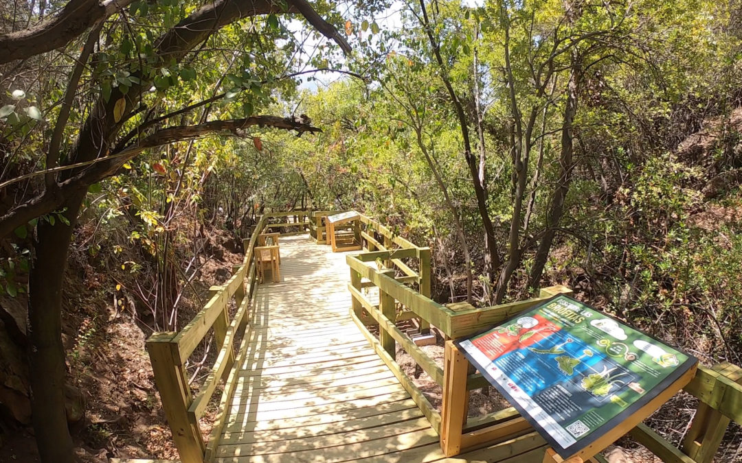 Sendero del agua y experiencia de realidad virtual: Lo nuevo de la Ruta del Tricahue