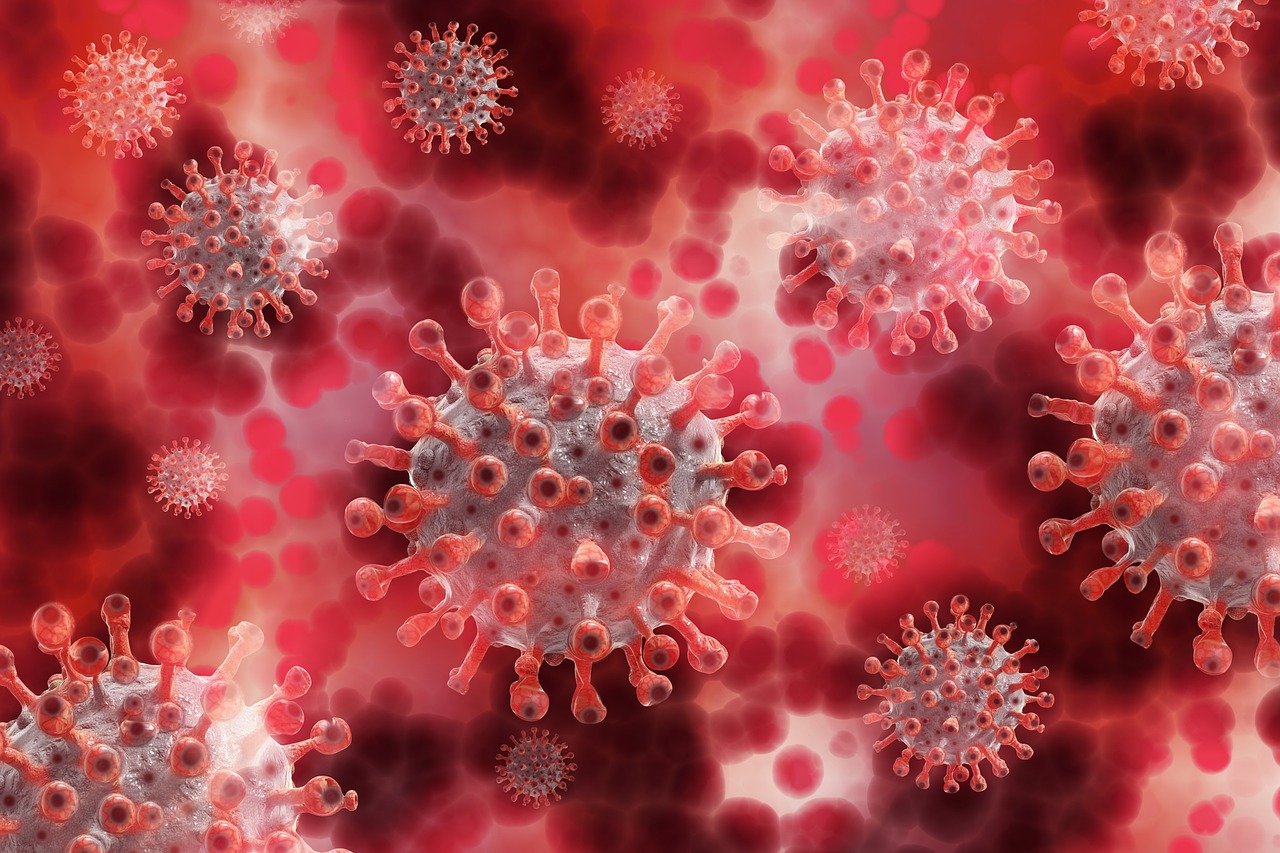 O´Higgins reporta 83 nuevos casos de coronavirus y anuncian nuevas medidas